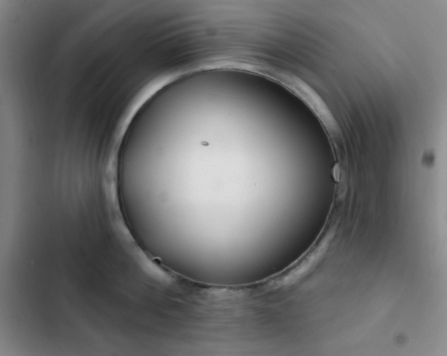 X0000103170812200808221233
