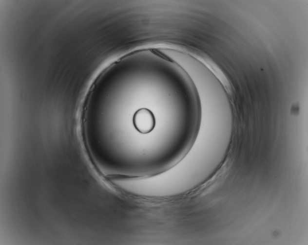 X0000103170813200808221233