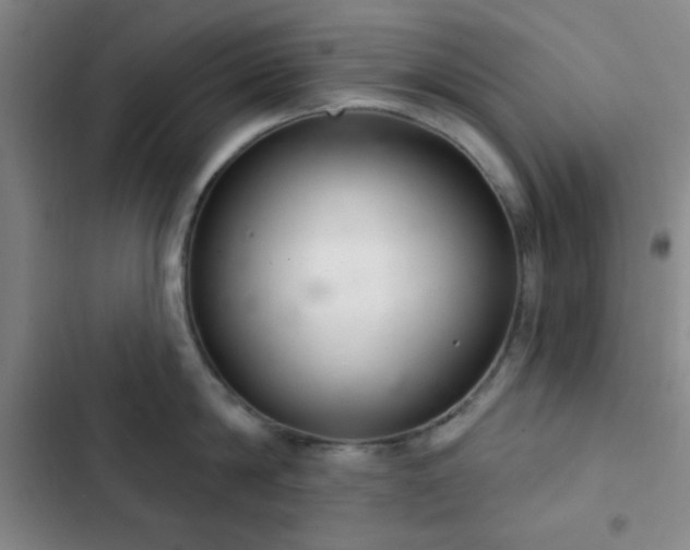 X0000103170814200808221233