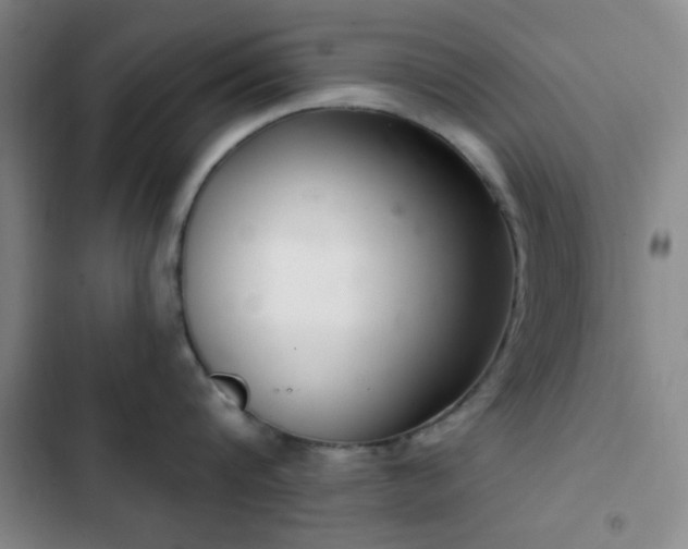 X0000103170816200808221233