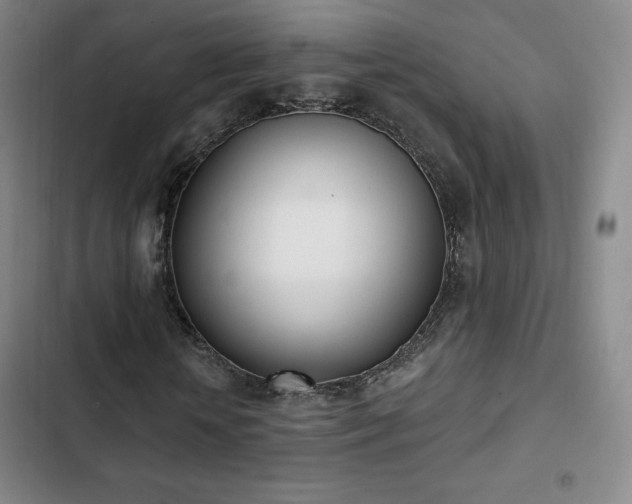 X0000103170818200808221232