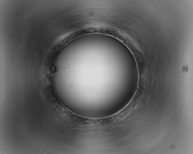 X0000103170822200808221232
