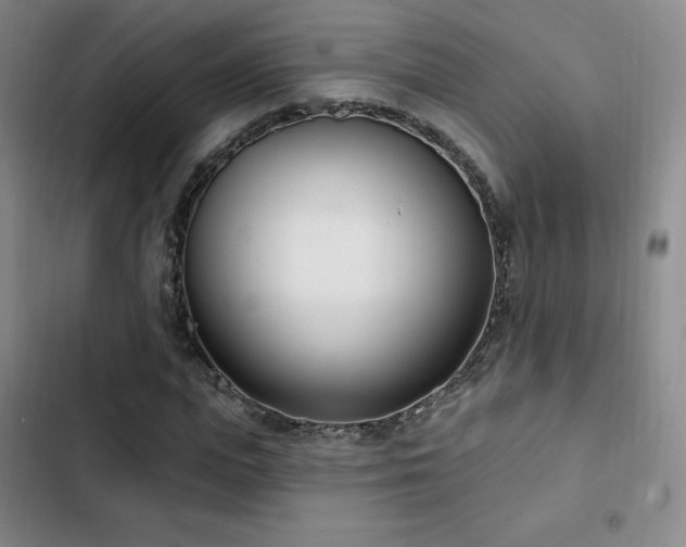 X0000103170823200808221232