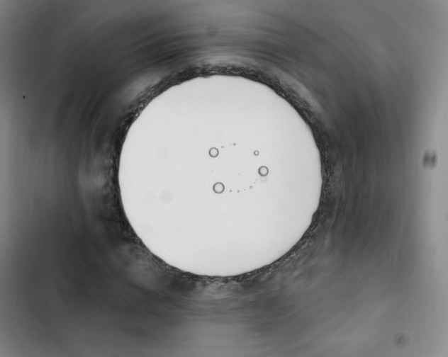 X0000103170824200808221232