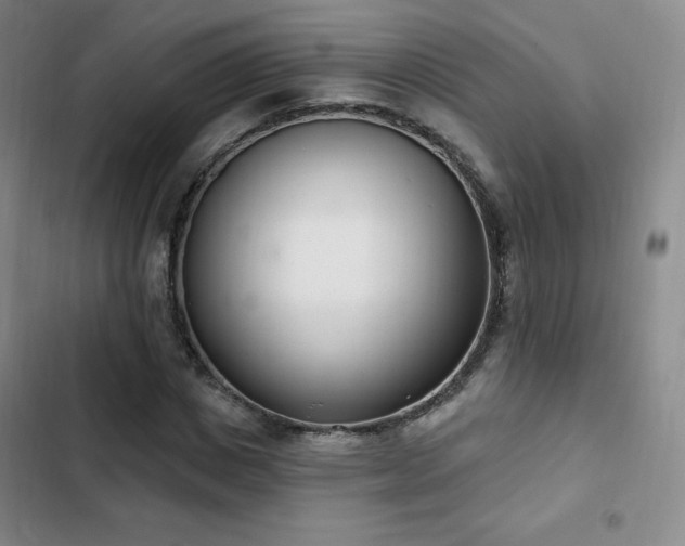 X0000103170825200808221232