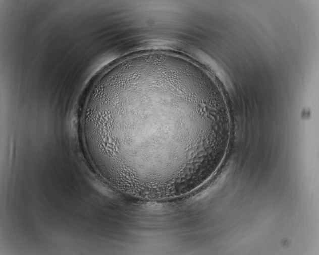 X0000103170827200808221232
