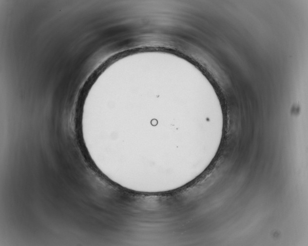 X0000103170828200808221232