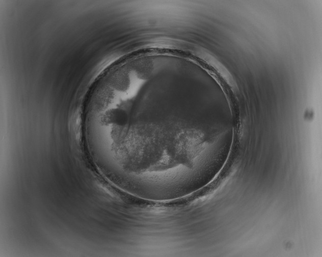 X0000103170829200808221232