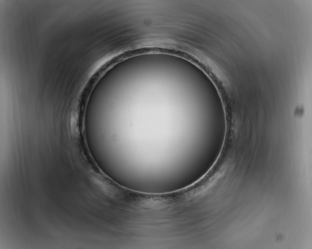 X0000103170830200808221232