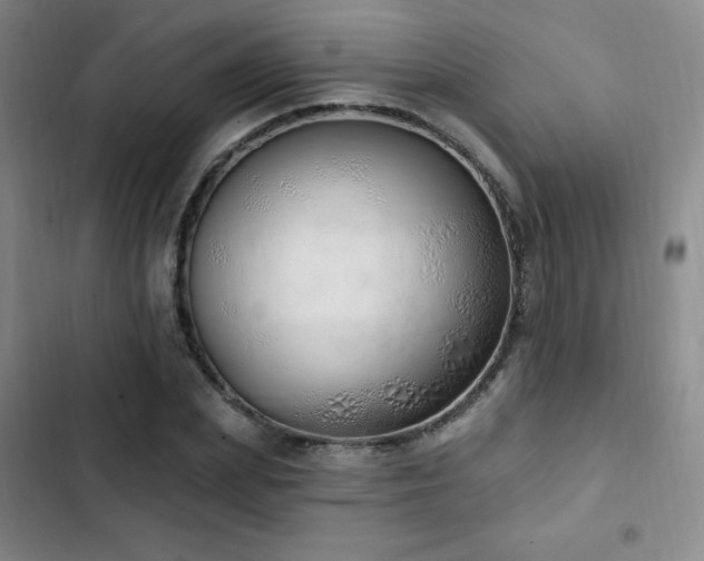X0000103170831200808221232