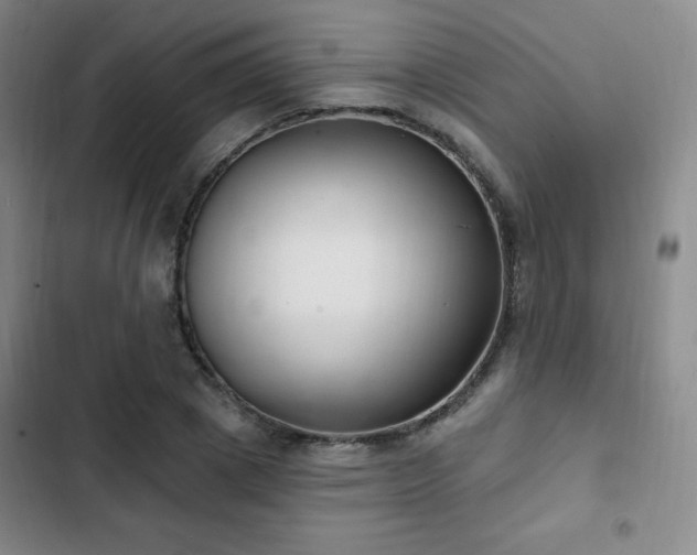 X0000103170833200808221232