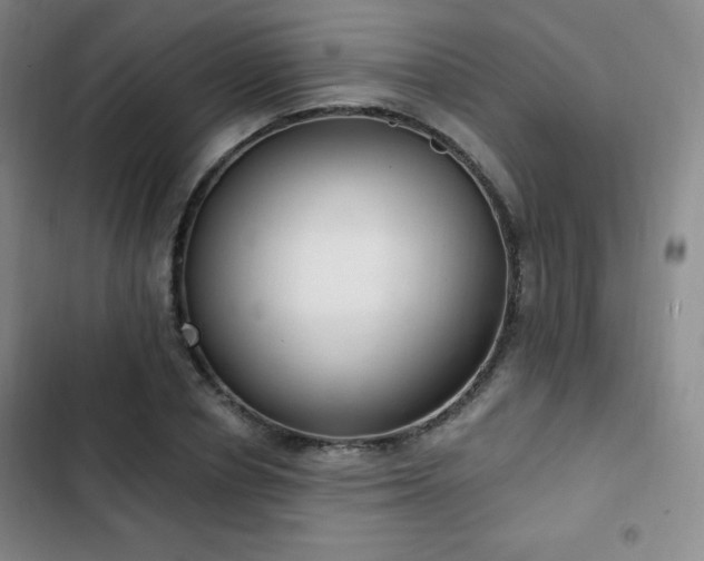 X0000103170834200808221232