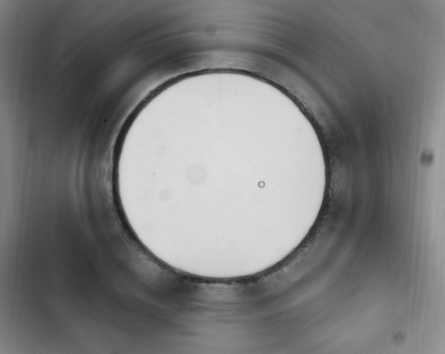 X0000103170836200808221232