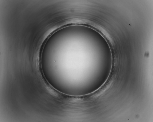 X0000103170837200808221232