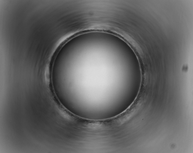 X0000103170838200808221233