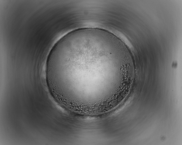 X0000103170839200808221233