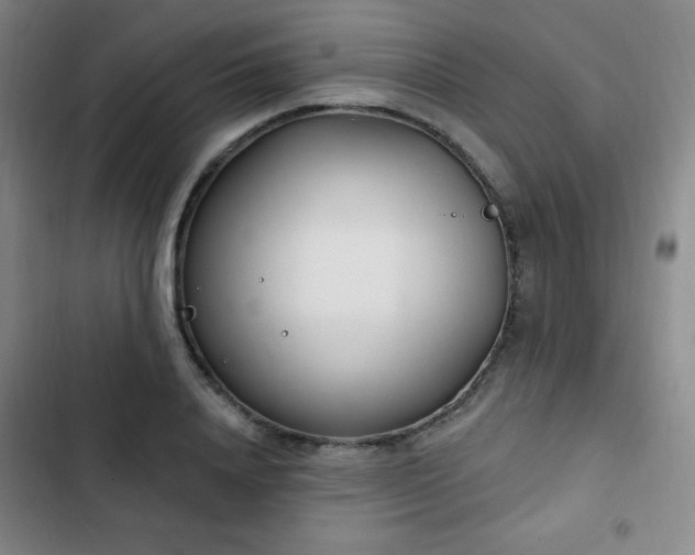 X0000103170840200808221233
