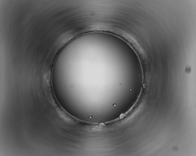 X0000103170841200808221233