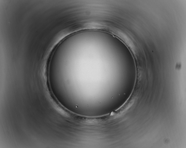X0000103170843200808221233