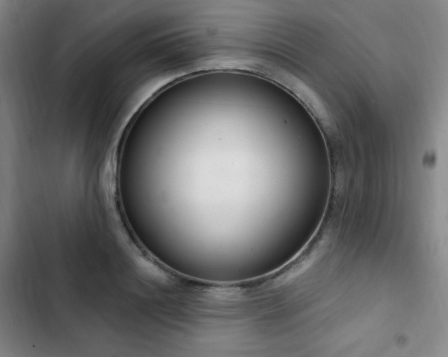 X0000103170844200808221233