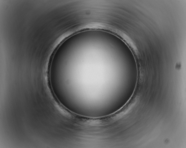 X0000103170845200808221233