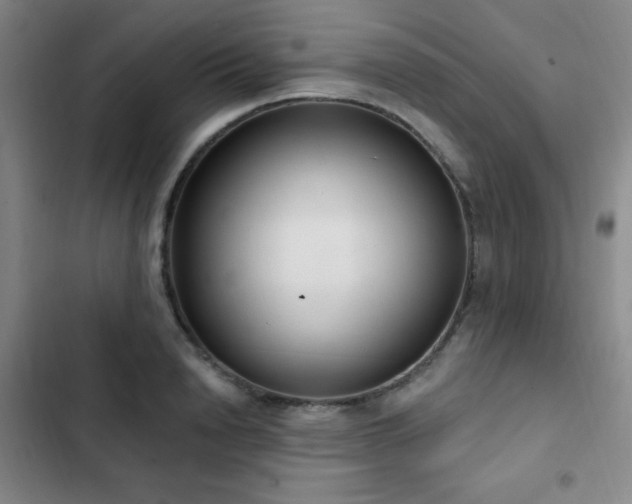 X0000103170846200808221233