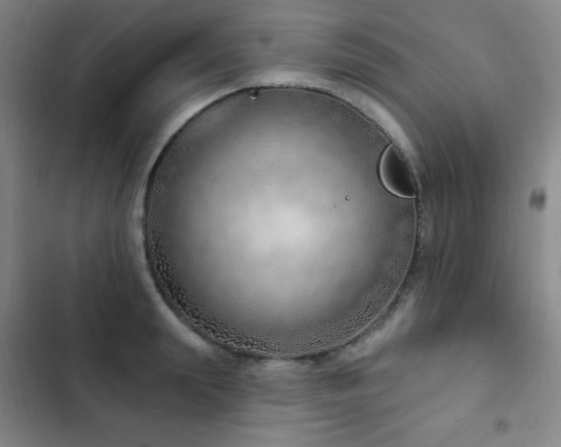 X0000103170847200808221233