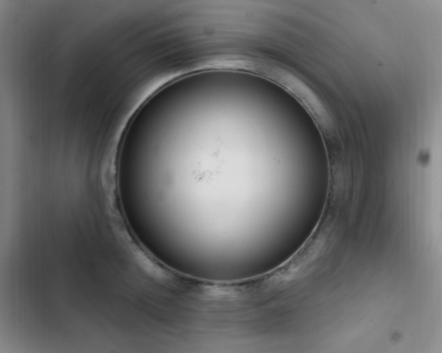 X0000103170852200808221233