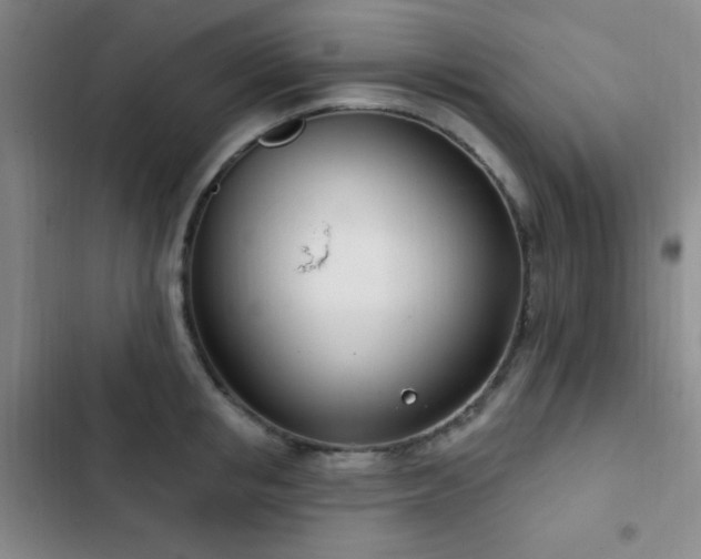 X0000103170853200808221233