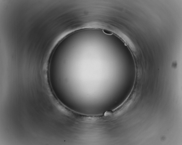 X0000103170854200808221233