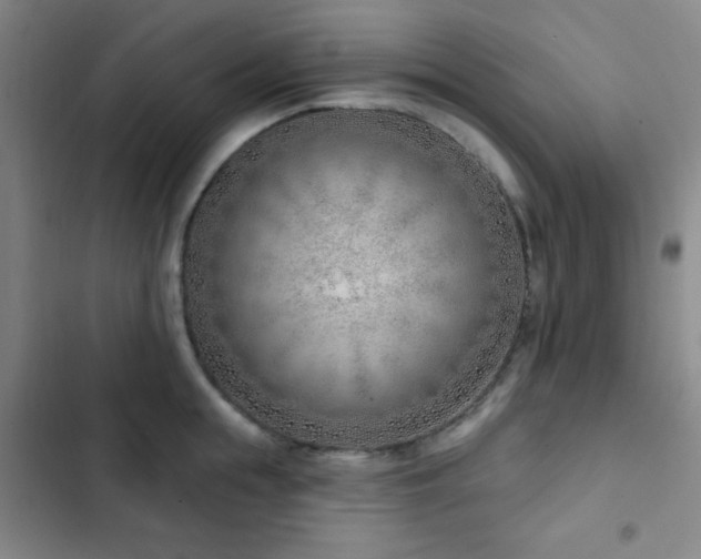 X0000103170855200808221233