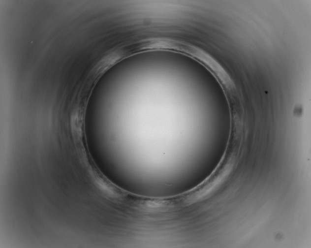 X0000103170857200808221233