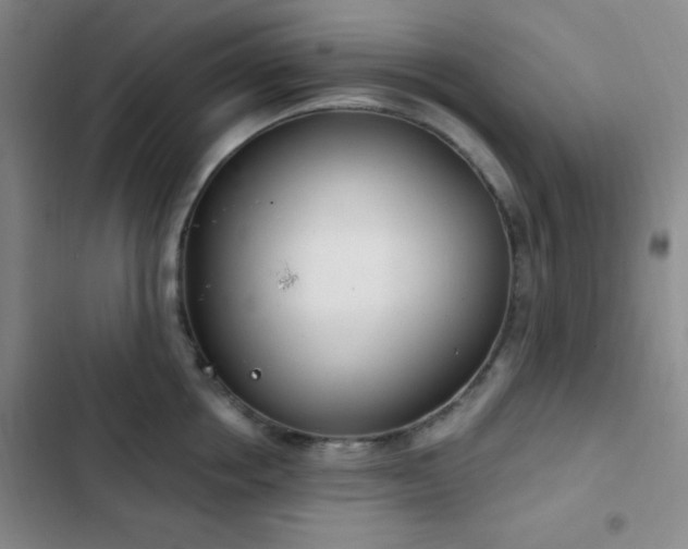 X0000103170858200808221233