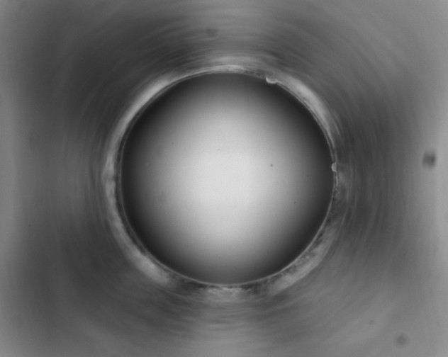 X0000103170859200808221233