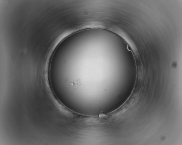 X0000103170861200808221233