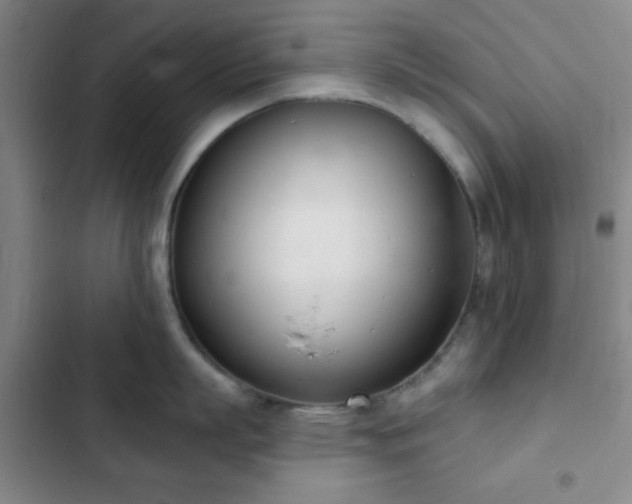 X0000103170863200808221233