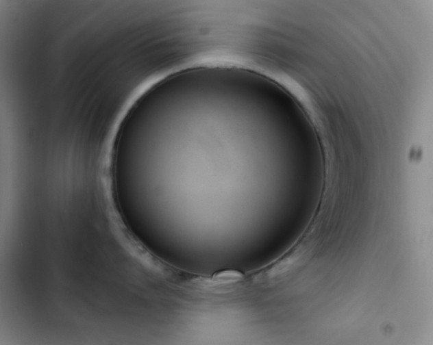 X0000103170864200808221233