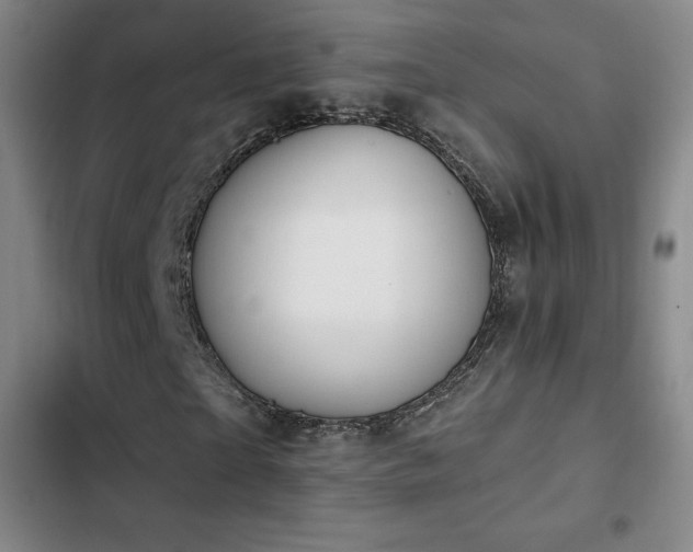 X0000103170865200808221232