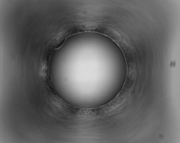 X0000103170866200808221232