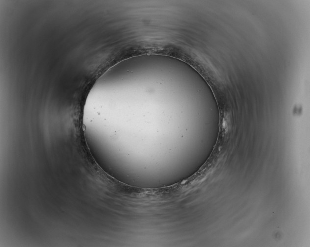 X0000103170867200808221232