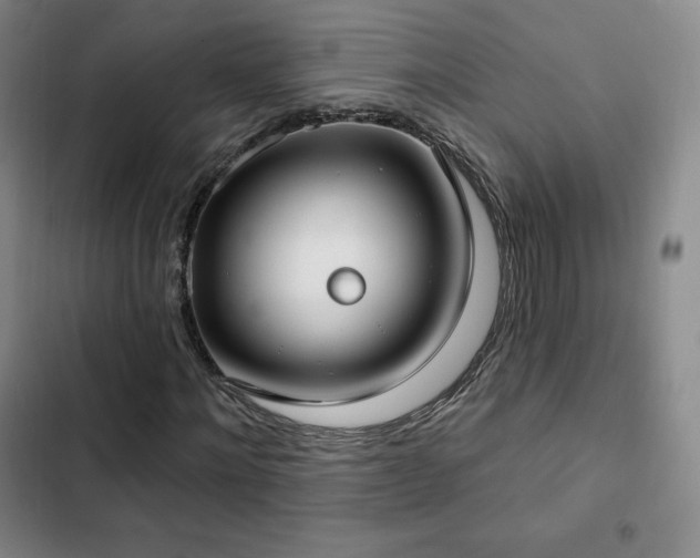 X0000103170868200808221232