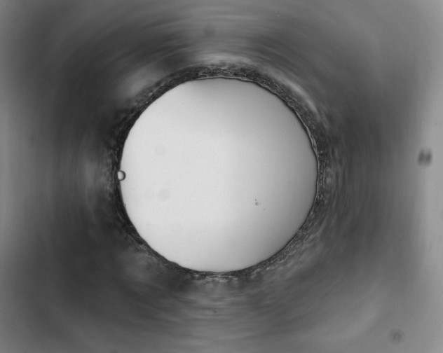 X0000103170869200808221232