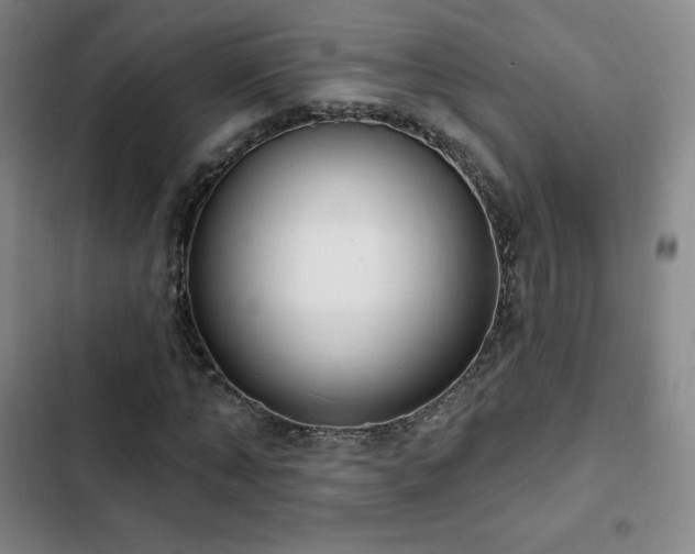 X0000103170870200808221232