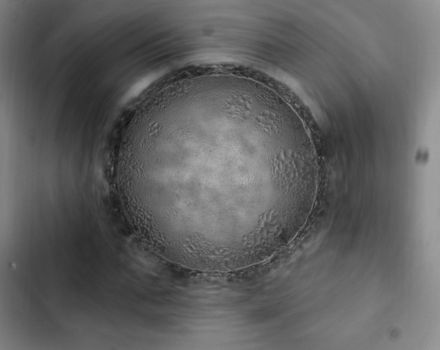 X0000103170871200808221232