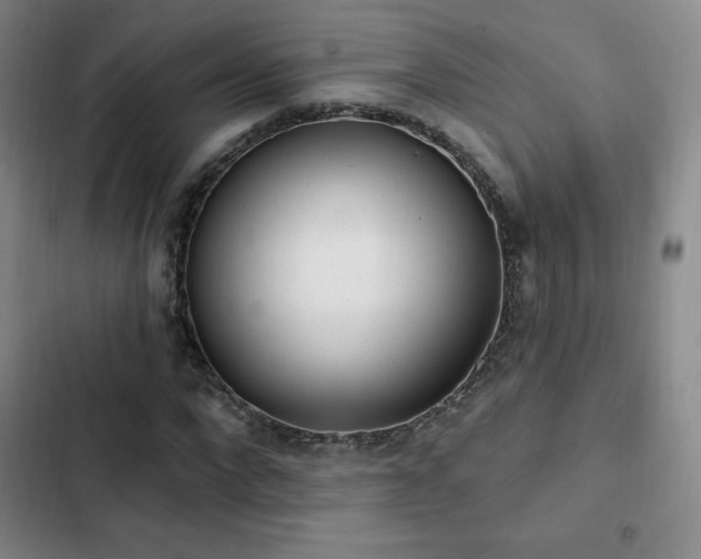X0000103170872200808221232