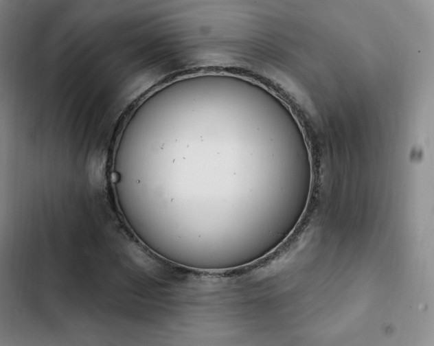X0000103170873200808221232