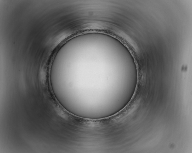 X0000103170874200808221232