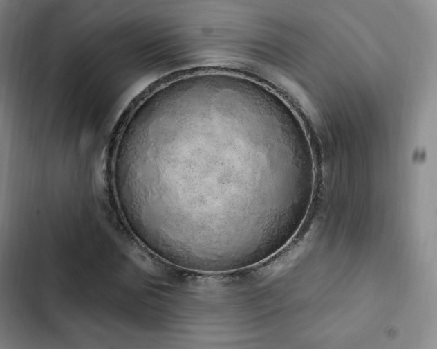 X0000103170875200808221232