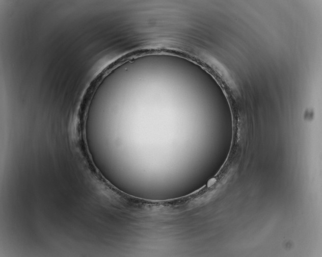 X0000103170876200808221232