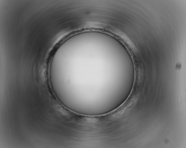X0000103170878200808221232
